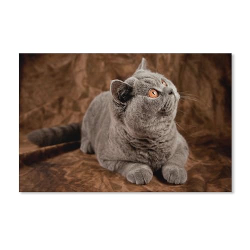 1000-teiliges Puzzle, überraschter Gesichtsausdruck Einer grauen Katze, Pappspielzeug für Erwachsene und Kinder, Lernspiel, 38 x 52 cm, 70 x 50 cm 1000-teiliges Puzzle, überraschter Gesichtsausdruck Einer grauen Katze, Pappspielzeug für Erwachsene und Kinder, Lernspiel, 38 x 52 cm, 70 x 50 cm von EZMLFA