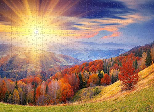 1000-teiliges Puzzle-Spielzeug, Ahornwald, Sonnenuntergang, Geschenk für die ganze Familie, 50 x 70 cm von EZMLFA