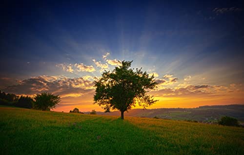 1000-teiliges Puzzle für Erwachsene, Familienspaß, Puzzles 1000 Teile, Geschenke für Männer und Erwachsene, Naturlandschaft, Morgen, 50 x 70 cm von EZMLFA