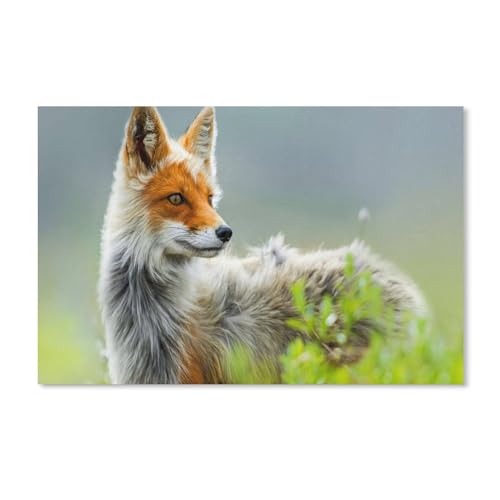 1000-teiliges Puzzle für Erwachsene, Fuchstier, Puzzle – für Erwachsene, Teenager, Lernspielzeug, Geschenke, 38 x 52 cm, 70 x 50 cm von EZMLFA
