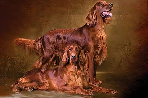 1000-teiliges Puzzle für Erwachsene, Irish Setter, Gehirn-Herausforderung, Puzzle für Kinder, Lernspiele, Kinder-Lernspiel, Spielzeug, Geschenk für Zuhause und unterwegs, 26 x 38 cm 1000-teiliges Puzzle für Erwachsene, Irish Setter, Gehirn-Herausforderung, Puzzle für Kinder, Lernspiele, Kinder-Lernspiel, Spielzeug, Geschenk für Zuhause und unterwegs, 26 x 38 cm von EZMLFA