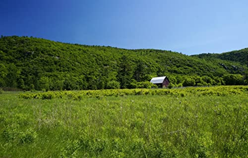 1000-teiliges Puzzle für Erwachsene, Spaß für die ganze Familie, Puzzle 1000 Teile, Geschenke für Männer, Malen nach Zahlen für Kinder, Naturlandschaft, Felder, Hügel, Kanada, Gatinau Park, 38 x 52 cm 1000-teiliges Puzzle für Erwachsene, Spaß für die ganze Familie, Puzzle 1000 Teile, Geschenke für Männer, Malen nach Zahlen für Kinder, Naturlandschaft, Felder, Hügel, Kanada, Gatinau Park, 38 x 52 cm von EZMLFA