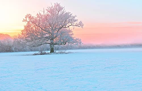 1000-teiliges Puzzle für Erwachsene, Spaß für die ganze Familie, Puzzle 1000 Teile, Geschenke für Männer, Naturlandschaft, Frost, Sonnenuntergang, 50 x 70 cm 1000-teiliges Puzzle für Erwachsene, Spaß für die ganze Familie, Puzzle 1000 Teile, Geschenke für Männer, Naturlandschaft, Frost, Sonnenuntergang, 50 x 70 cm von EZMLFA