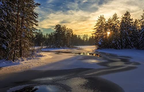 1000-teiliges Puzzle für Erwachsene, Spaß für die ganze Familie, Puzzle 1000 Teile, Geschenke für Männer, Naturlandschaft, Wald, See, Schweden, 50 x 70 cm 1000-teiliges Puzzle für Erwachsene, Spaß für die ganze Familie, Puzzle 1000 Teile, Geschenke für Männer, Naturlandschaft, Wald, See, Schweden, 50 x 70 cm von EZMLFA