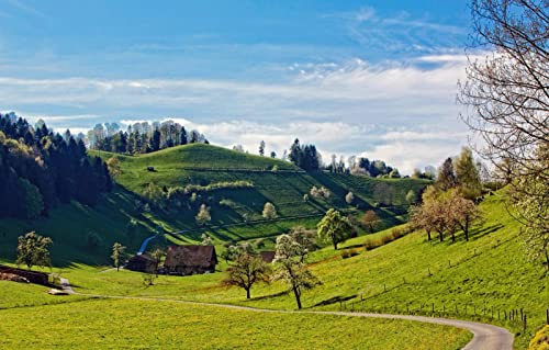 1000-teiliges Puzzle für Erwachsene, Spaß für die ganze Familie, Puzzle mit 1000 Teilen, Geschenke für Männer, Naturlandschaft, Straßen, Hügel, 38 x 52 cm von EZMLFA
