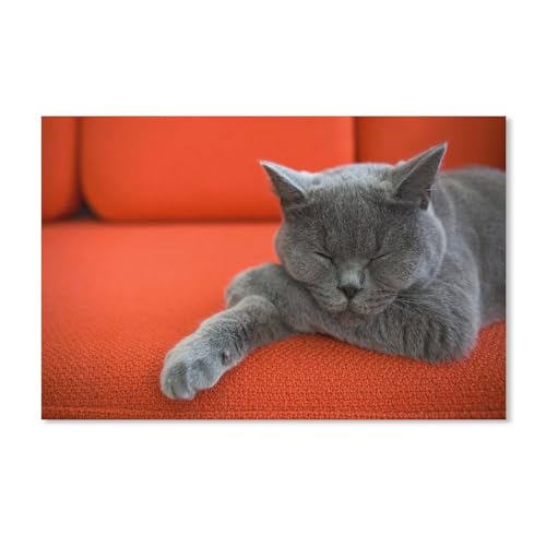1000-teiliges Puzzle für Erwachsene, schlafende Tierkatze, Puzzle – für Erwachsene und Jugendliche, Lernspielzeug, Geschenke, 38 x 52 cm, 38 x 26 cm von EZMLFA