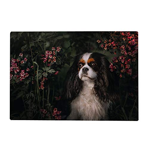 1000-teiliges Puzzle für Erwachsene – Cavalier King Charles Spaniel, Hund und Blumen, Puzzlespiel, Kinderspielzeug, 38 x 26 cm von EZMLFA
