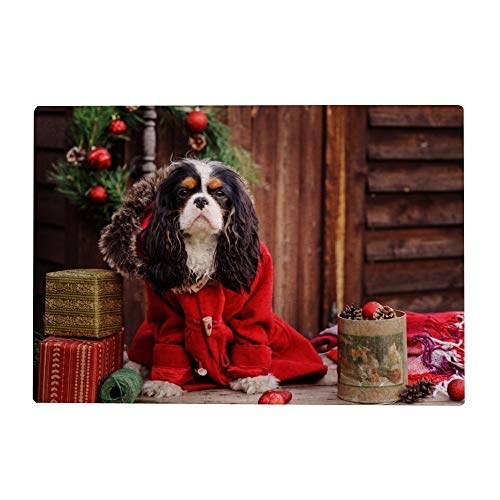 1000-teiliges Puzzle für Erwachsene – Cavalier King Charles Spaniel Hund, 26 x 38 cm von EZMLFA