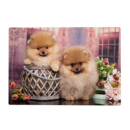 1000-teiliges Puzzle für Erwachsene – Pomeranian-Hundewelpe, Blumen, Puzzlespiel, Kinderspielzeug, 38 x 26 cm von EZMLFA