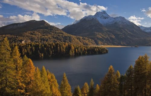 1000-teiliges Puzzle für Erwachsene | Puzzlebrett aus recyceltem Material | Puzzle für Erwachsene, Bäume, Berge, Schweiz, Alpen, Silsersee, 50 x 70 cm von EZMLFA