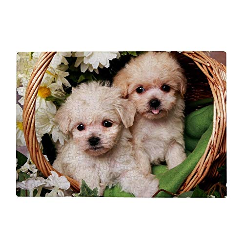 1000-teiliges Puzzle für Erwachsene – Süße Hundewelpen, 70 x 50 cm 1000-teiliges Puzzle für Erwachsene – Süße Hundewelpen, 70 x 50 cm von EZMLFA