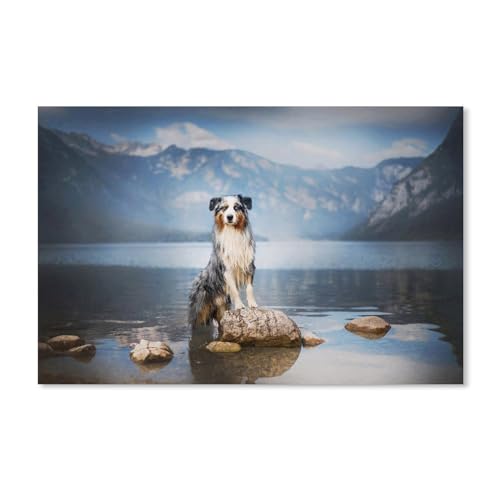 2000 Teile, Australian Shepherd Nature Dog, Puzzle für Erwachsene, Dekompressionsspiel, Puzzle, Studenten, Spielzeug für Kinder, Weihnachtsgeburtstagsgeschenke, 38 x 52 cm, 70 x 100 cm 2000 Teile, Australian Shepherd Nature Dog, Puzzle für Erwachsene, Dekompressionsspiel, Puzzle, Studenten, Spielzeug für Kinder, Weihnachtsgeburtstagsgeschenke, 38 x 52 cm, 70 x 100 cm von EZMLFA