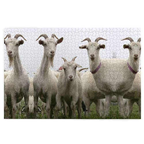 2000 Teile Puzzle, Ziegen, lustiges Lernspielzeug, Lernspiele, Heimdekoration, Puzzle, 70 x 100 cm 2000 Teile Puzzle, Ziegen, lustiges Lernspielzeug, Lernspiele, Heimdekoration, Puzzle, 70 x 100 cm von EZMLFA