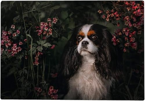 2000 Teile Puzzle Für Erwachsene – Cavalier King Charles Spaniel Hund Und Blumen Puzzlespiel Spielzeug 70x100CM von EZMLFA