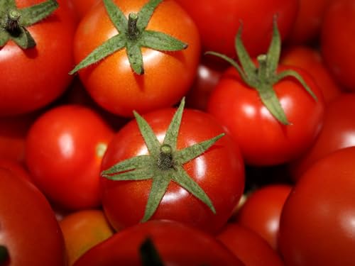 2000 Teile Puzzle für Erwachsene und Kinder ab 14 Jahren – Tomaten, Gemüse, reif 70x100CM 2000 Teile Puzzle für Erwachsene und Kinder ab 14 Jahren – Tomaten, Gemüse, reif 70x100CM von EZMLFA