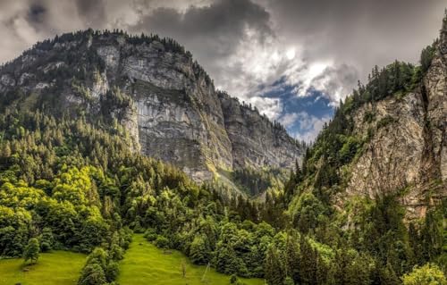 2000 Teile Puzzles Für Erwachsene | Puzzle Lernspiele Heimdekoration Puzzle Bäume Berge Felsen Schweiz Alpenschlucht 70x100CM 2000 Teile Puzzles Für Erwachsene | Puzzle Lernspiele Heimdekoration Puzzle Bäume Berge Felsen Schweiz Alpenschlucht 70x100CM von EZMLFA