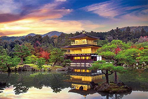 2000-Teiliges Puzzle Kyoto, Freunde 70x100CM 2000-Teiliges Puzzle Kyoto, Freunde 70x100CM von EZMLFA