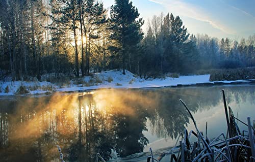 2000-teiliges Puzzle 3D, Naturschönheit, Schnee, Fluss 70x100CM von EZMLFA