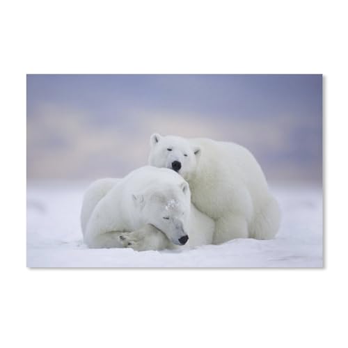 2000-teiliges Puzzle für Erwachsene, Eisbär umarmt Sich im Schnee, Puzzle – für Erwachsene und Jugendliche, Lernspielzeug, Geschenke, 38 x 52 cm, 70 x 100 cm von EZMLFA