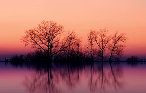 2000-teiliges Puzzle für Erwachsene, Familienspaß, Puzzles 2000 Teile, Geschenke für Männer, Erwachsene und Kinder, Malen, Naturlandschaft, Sonnenuntergang, 70 x 100 cm 2000-teiliges Puzzle für Erwachsene, Familienspaß, Puzzles 2000 Teile, Geschenke für Männer, Erwachsene und Kinder, Malen, Naturlandschaft, Sonnenuntergang, 70 x 100 cm von EZMLFA
