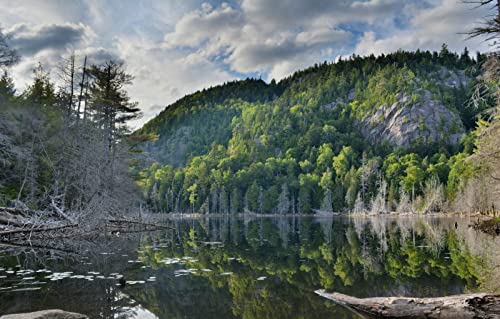 2000-teiliges Puzzle für Erwachsene, Familienspaß, Puzzles 2000 Teile, Geschenke für Männer, Hobbys für Erwachsene und Frauen, Naturlandschaft, Wald, See, 70 x 100 cm 2000-teiliges Puzzle für Erwachsene, Familienspaß, Puzzles 2000 Teile, Geschenke für Männer, Hobbys für Erwachsene und Frauen, Naturlandschaft, Wald, See, 70 x 100 cm von EZMLFA