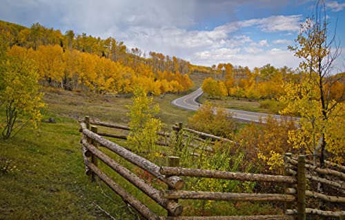 2000-teiliges Puzzle für Erwachsene, Familienspaß, Puzzles 2000 Teile, Geschenke für Männer, Naturlandschaft, Straße, 70 x 100 cm von EZMLFA