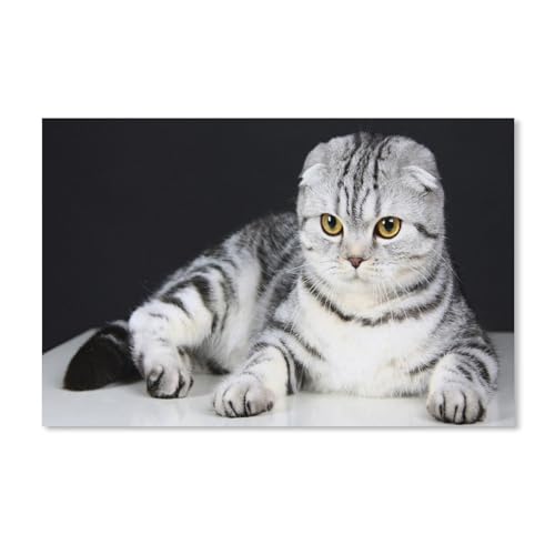 2000-teiliges Puzzle für Erwachsene, Kätzchen, Tier, Puzzle – für Erwachsene, Teenager, Lernspielzeug, Geschenke, 38 x 52 cm, 70 x 100 cm von EZMLFA