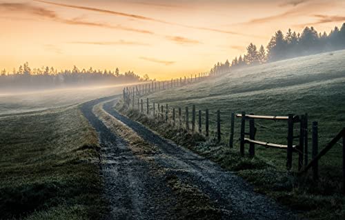 2000-teiliges Puzzle für Erwachsene, Spaß für die ganze Familie, Puzzle 2000 Teile, Geschenke für Männer, Basteln für Erwachsene, Naturlandschaft, Straße, Feld, Morgen, 70 x 100 cm 2000-teiliges Puzzle für Erwachsene, Spaß für die ganze Familie, Puzzle 2000 Teile, Geschenke für Männer, Basteln für Erwachsene, Naturlandschaft, Straße, Feld, Morgen, 70 x 100 cm von EZMLFA