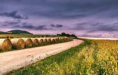 2000-teiliges Puzzle für Erwachsene, Spaß für die ganze Familie, Puzzle 2000 Teile, Geschenke für Männer, Naturlandschaft, Straße, Feld, 70 x 100 cm von EZMLFA