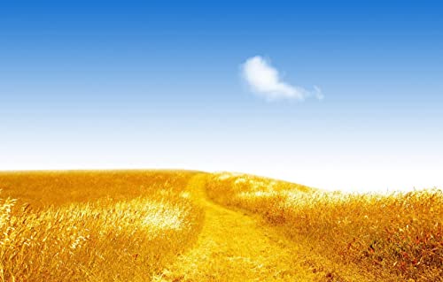 2000-teiliges Puzzle für Erwachsene, Spaß für die ganze Familie, Puzzle 2000 Teile, Geschenke für Männer, Naturlandschaft, Straße, Feld, 70 x 100 cm 2000-teiliges Puzzle für Erwachsene, Spaß für die ganze Familie, Puzzle 2000 Teile, Geschenke für Männer, Naturlandschaft, Straße, Feld, 70 x 100 cm von EZMLFA