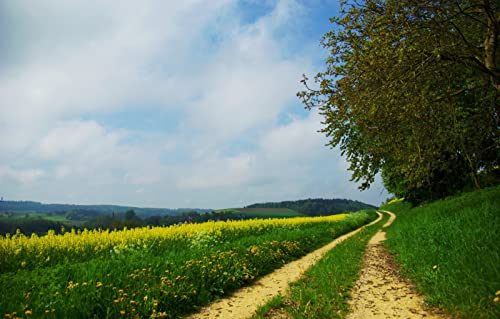 2000-teiliges Puzzle für Erwachsene, Spaß für die ganze Familie, Puzzle 2000 Teile, Geschenke für Männer, Naturlandschaft, Straße, Feld, Wald, 70 x 100 cm 2000-teiliges Puzzle für Erwachsene, Spaß für die ganze Familie, Puzzle 2000 Teile, Geschenke für Männer, Naturlandschaft, Straße, Feld, Wald, 70 x 100 cm von EZMLFA