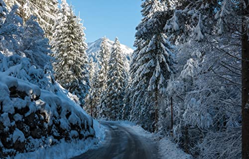 2000-teiliges Puzzle für Erwachsene, Spaß für die ganze Familie, Puzzle 2000 Teile, Geschenke für Männer, Naturlandschaft, Straßen, Wälder, Berge, 70 x 100 cm von EZMLFA