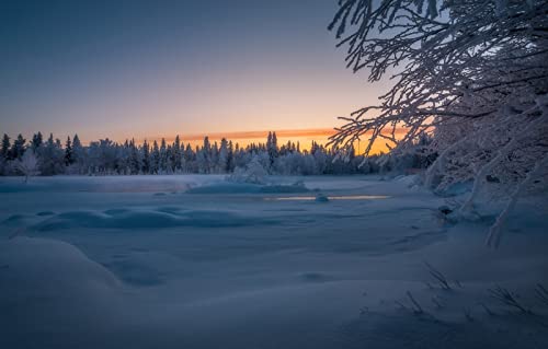 2000-teiliges Puzzle für Erwachsene, Spaß für die ganze Familie, Puzzle 2000 Teile, Geschenke für Männer, Naturlandschaft, Wald, Sonnenuntergang, Finnland, 70 x 100 cm 2000-teiliges Puzzle für Erwachsene, Spaß für die ganze Familie, Puzzle 2000 Teile, Geschenke für Männer, Naturlandschaft, Wald, Sonnenuntergang, Finnland, 70 x 100 cm von EZMLFA