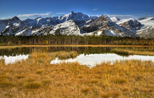 2000-teiliges Puzzle für Erwachsene | Landschaftspuzzle für Erwachsene 2000, Wald, Schnee, Bäume, Berge 70 x 100 cm von EZMLFA