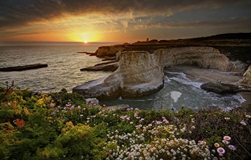 2000-teiliges Puzzle für Jungen, Naturschönheit, Blumen, Ozean, Kalifornien, USA, 70 x 100 cm von EZMLFA