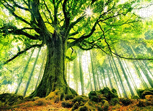 2000-teiliges Riesenbaum-Qualitätspuzzle für Erwachsene, Kinderspielzeug für Erwachsene, 70 x 100 cm von EZMLFA