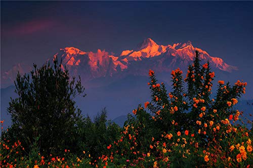 3D Klassisches Puzzle 1000 Teile, Wilde Blume des Himalaya-Gebirges Nepal Region Brain Challenge Kinderspielzeugspiele 26x38CM von EZMLFA