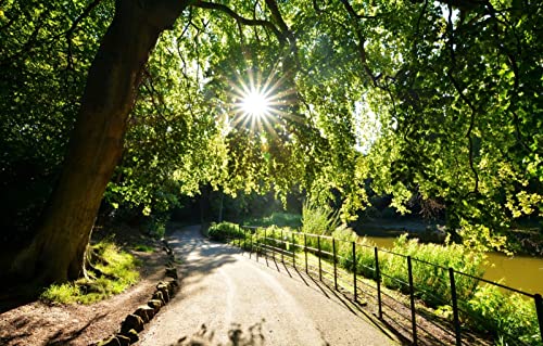 3D Puzzle 1000 Teile, Naturschönheit, Sonne, See, Park, Blätter, England, Strecke 26x38CM 3D Puzzle 1000 Teile, Naturschönheit, Sonne, See, Park, Blätter, England, Strecke 26x38CM von EZMLFA