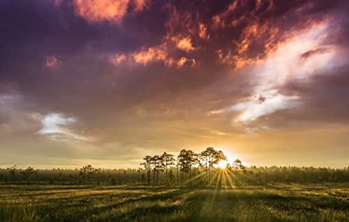 3D Puzzle 1000 Teile Naturlandschaft, Sonnenaufgang, Finnland, Wolken 26x38CM 3D Puzzle 1000 Teile Naturlandschaft, Sonnenaufgang, Finnland, Wolken 26x38CM von EZMLFA