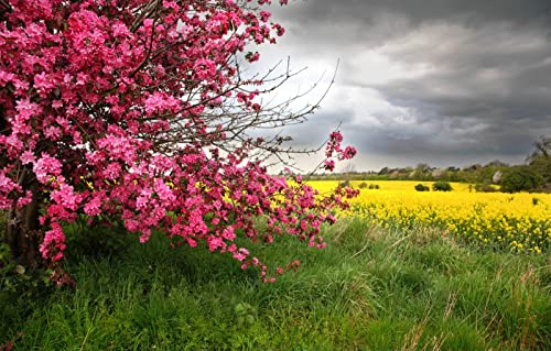 3D-Puzzle Mädchen 1000 Teile, Natürliche Schönheit, Blumen 50x70CM 3D-Puzzle Mädchen 1000 Teile, Natürliche Schönheit, Blumen 50x70CM von EZMLFA