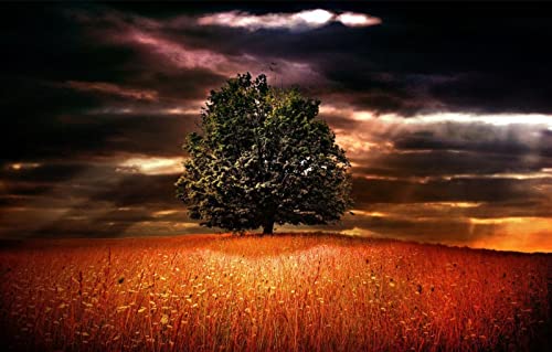 3D Puzzle Mädchen 1000 Teile Natürliche Schönheit, Horizont, Felder, Blumen 50x70CM von EZMLFA
