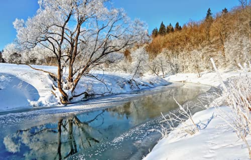 3D-Puzzle für Erwachsene, 1000 Teile, Naturschönheit, Schnee, Fluss, 50 x 70 cm 3D-Puzzle für Erwachsene, 1000 Teile, Naturschönheit, Schnee, Fluss, 50 x 70 cm von EZMLFA