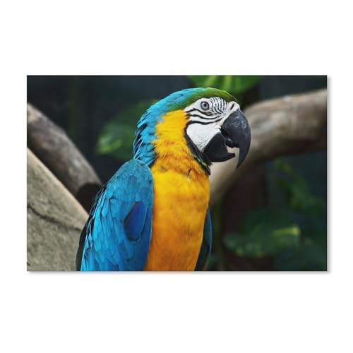 A171 1000 Puzzles für Erwachsene, Katze, Augen, Abend, Lichter, Freizeitunterhaltung, Kinderspielzeug, Heimdekoration, Kunst 50x70CM A171 1000 Puzzles für Erwachsene, Katze, Augen, Abend, Lichter, Freizeitunterhaltung, Kinderspielzeug, Heimdekoration, Kunst 50x70CM von EZMLFA