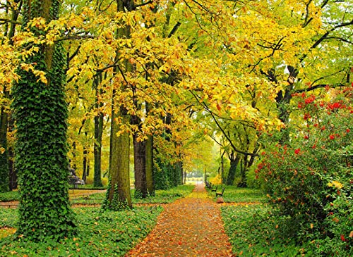 Entspannendes Herbstpfad-Puzzle für Erwachsene, 2000 Teile, 70 x 100 cm von EZMLFA