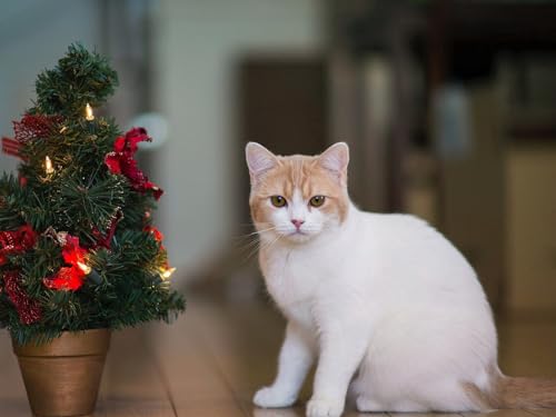 Erwachsenenpuzzle ab 14 Jahren, Katze, Baum, Neujahr 70x100CM von EZMLFA