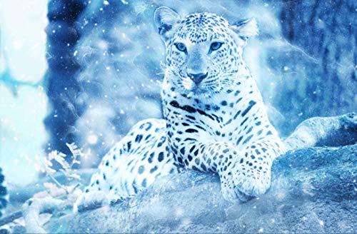 Fantasy Puzzle 1000 Teile Tierwelt Puzzle mit hochwertiger Puzzleaufbewahrung: Kartonbox und wiederverschließbarer Beutel Puzzlemaße 38x52CM Fantasy Puzzle 1000 Teile Tierwelt Puzzle mit hochwertiger Puzzleaufbewahrung: Kartonbox und wiederverschließbarer Beutel Puzzlemaße 38x52CM von EZMLFA