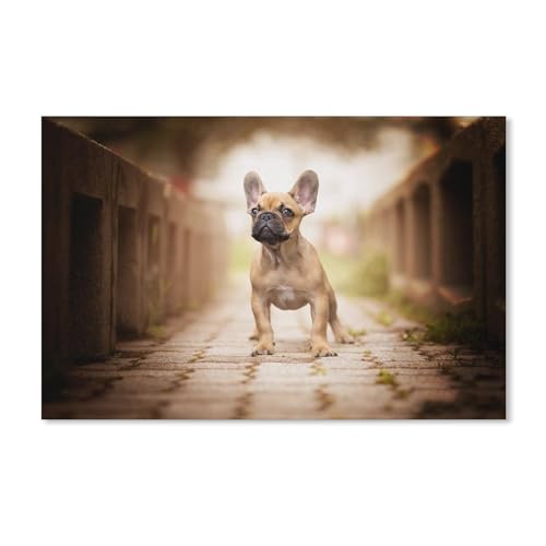 Französische Bulldogge, Puzzle, 2000 Papierpuzzleteile, geeignet für Erwachsene, Kinder und Familien, Stressabbau-Puzzlespiele, 70 x 100 cm Französische Bulldogge, Puzzle, 2000 Papierpuzzleteile, geeignet für Erwachsene, Kinder und Familien, Stressabbau-Puzzlespiele, 70 x 100 cm von EZMLFA