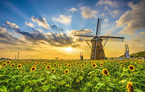 Geschenk für Jungen, 3D-Puzzle, 2000 Teile, natürliche Schönheit, Sonne, Sonnenblume, 70 x 100 cm von EZMLFA
