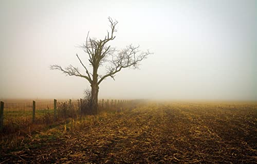 Geschenk für Jungen, Puzzle 1000 Teile, Naturschönheit, Nebel, 50 x 70 cm Geschenk für Jungen, Puzzle 1000 Teile, Naturschönheit, Nebel, 50 x 70 cm von EZMLFA