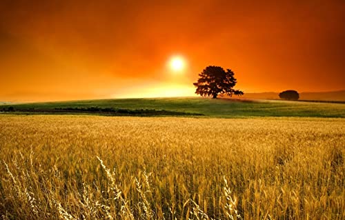 Geschenk für einen 1000-jährigen Jungen, 3D-Puzzle, 1000 Teile, Naturschönheit, Sonne, Horizont, 50 x 70 cm von EZMLFA